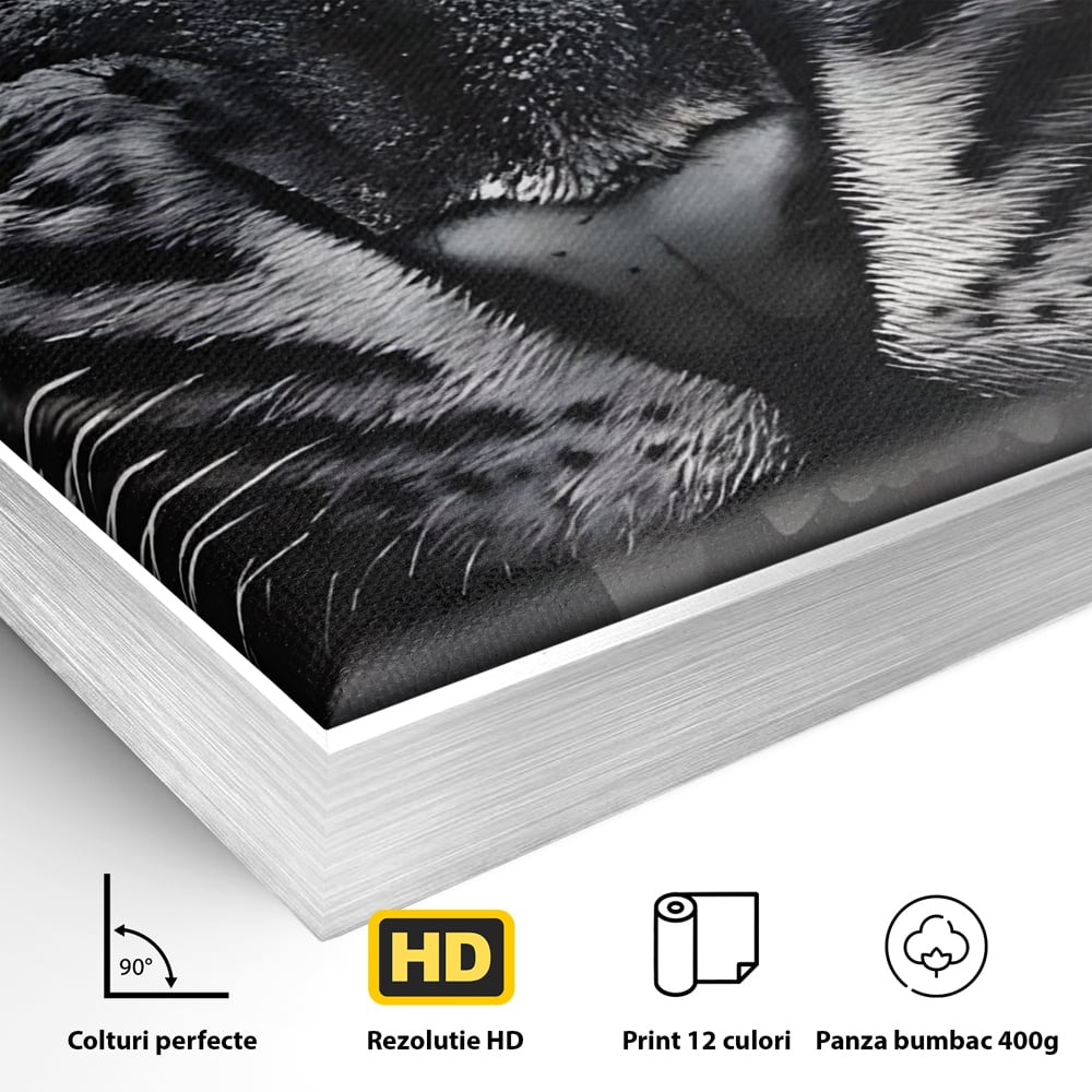 Detaliu al suprafetei: tablou canvas cu leu fioros, in rama de aluminiu argintiu